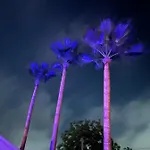Palm Villa