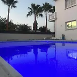 Villa Palm *