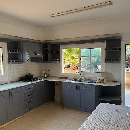 Palm * Kyrenia (Northern Cyprus)