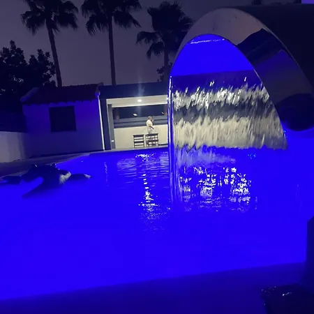 Palm * Kyrenia (Northern Cyprus)